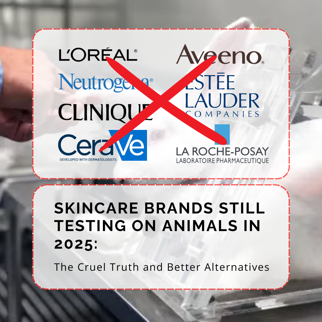 2025 skincare brands testing on animals: L’Oréal, Estée Lauder exposed! Cruelty-free Obvs Skincare uses better in vitro tests. Leaping Bunny certified