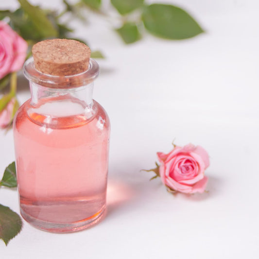 Unlocking Nature's Defence: Rose Essential Oil Activates Tomato Leaf Defence Genes - Obvs Skincare