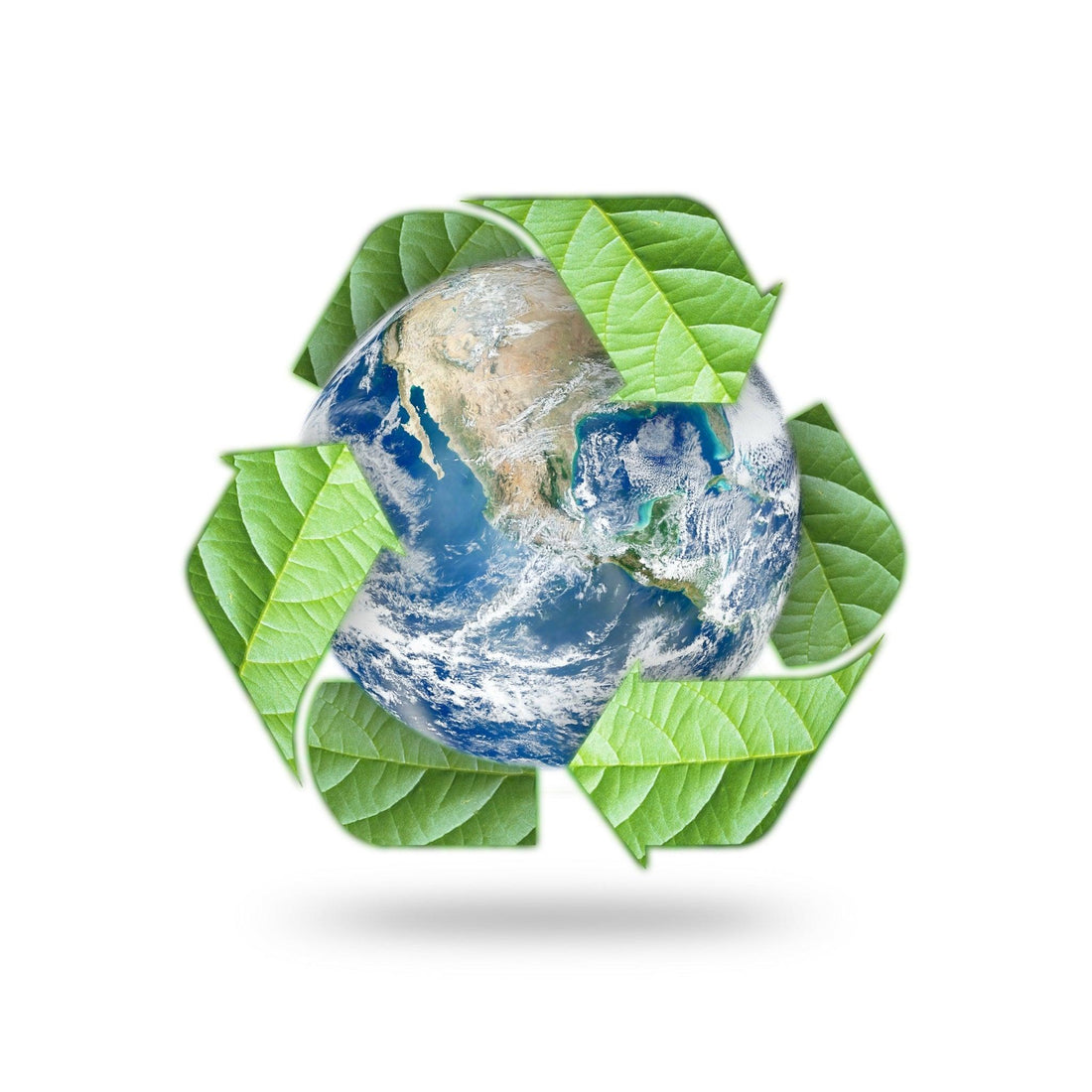 What is Biodegradable Packaging? - Obvs Skincare