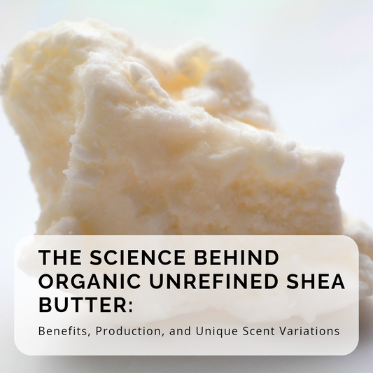 The Science Behind Organic Unrefined Shea Butter: Benefits, Production, and Unique Scent Variations